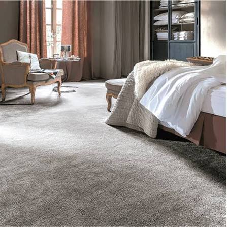 Nettoyage moquette en profondeur 