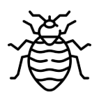 Traitement punaises de lit - sans insecticide
