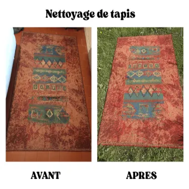 Nettoyage 3 tapis