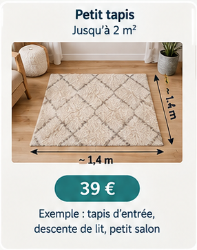 Petit tapis jusqu'à 2 m² 