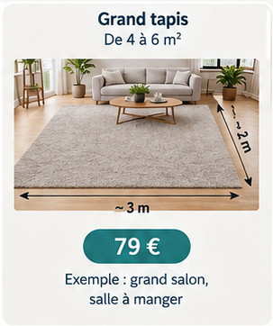 Grand tapis 4 à 6 m²