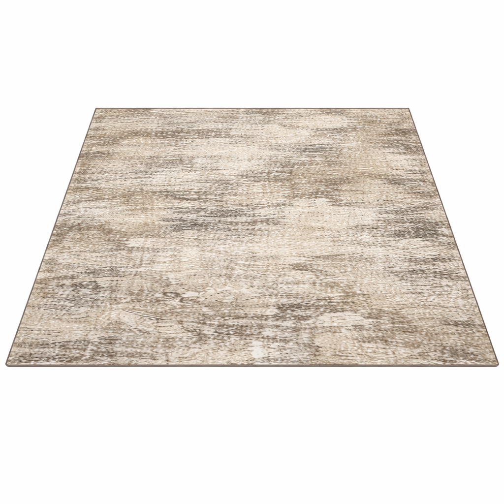 Nettoyage tapis (x3)