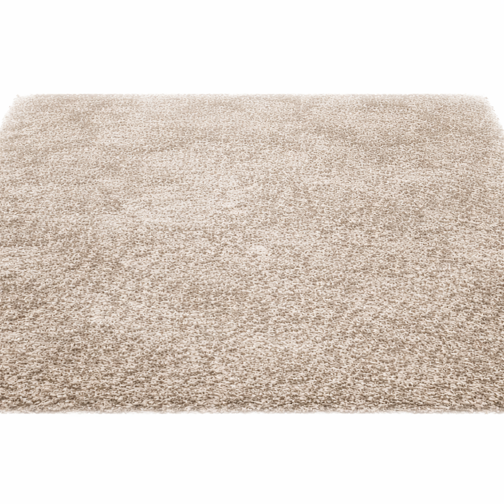Nettoyage moquette