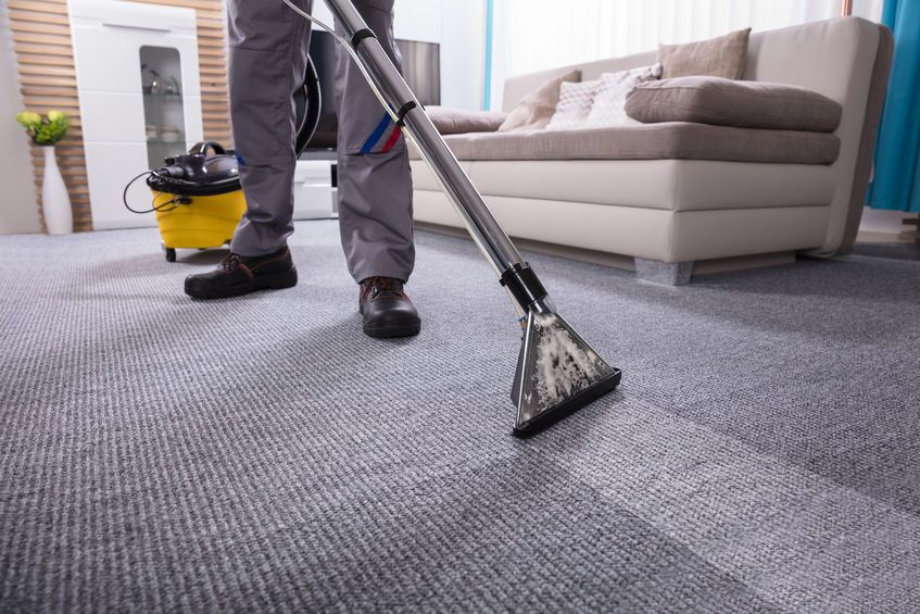 tapis +5m²
