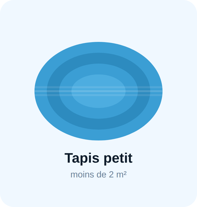 Tapis petit