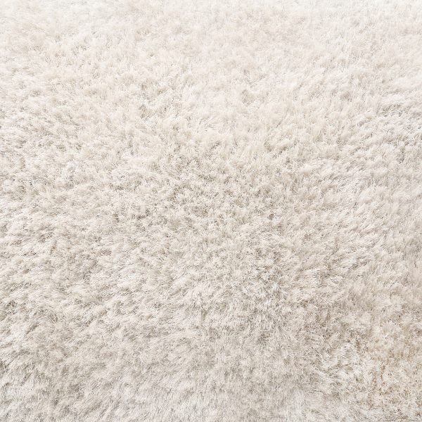 Nettoyage moquette (sur devis)