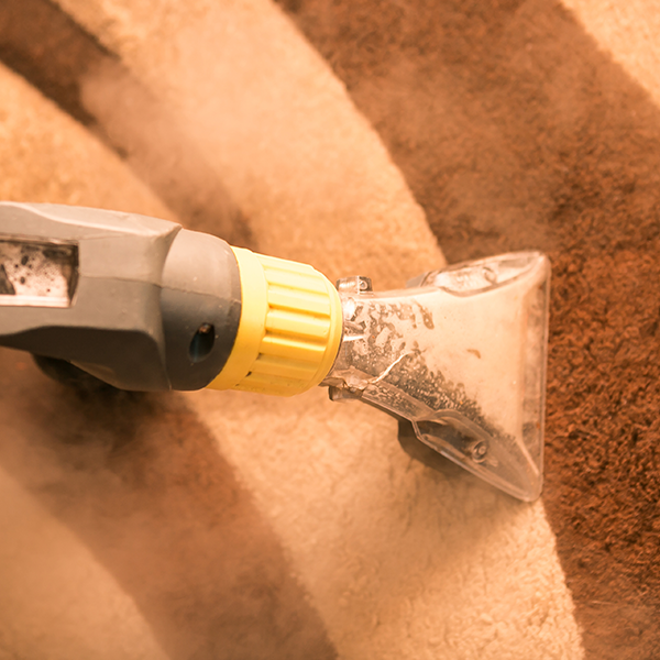 Nettoyage tapis  a la shampouineuse