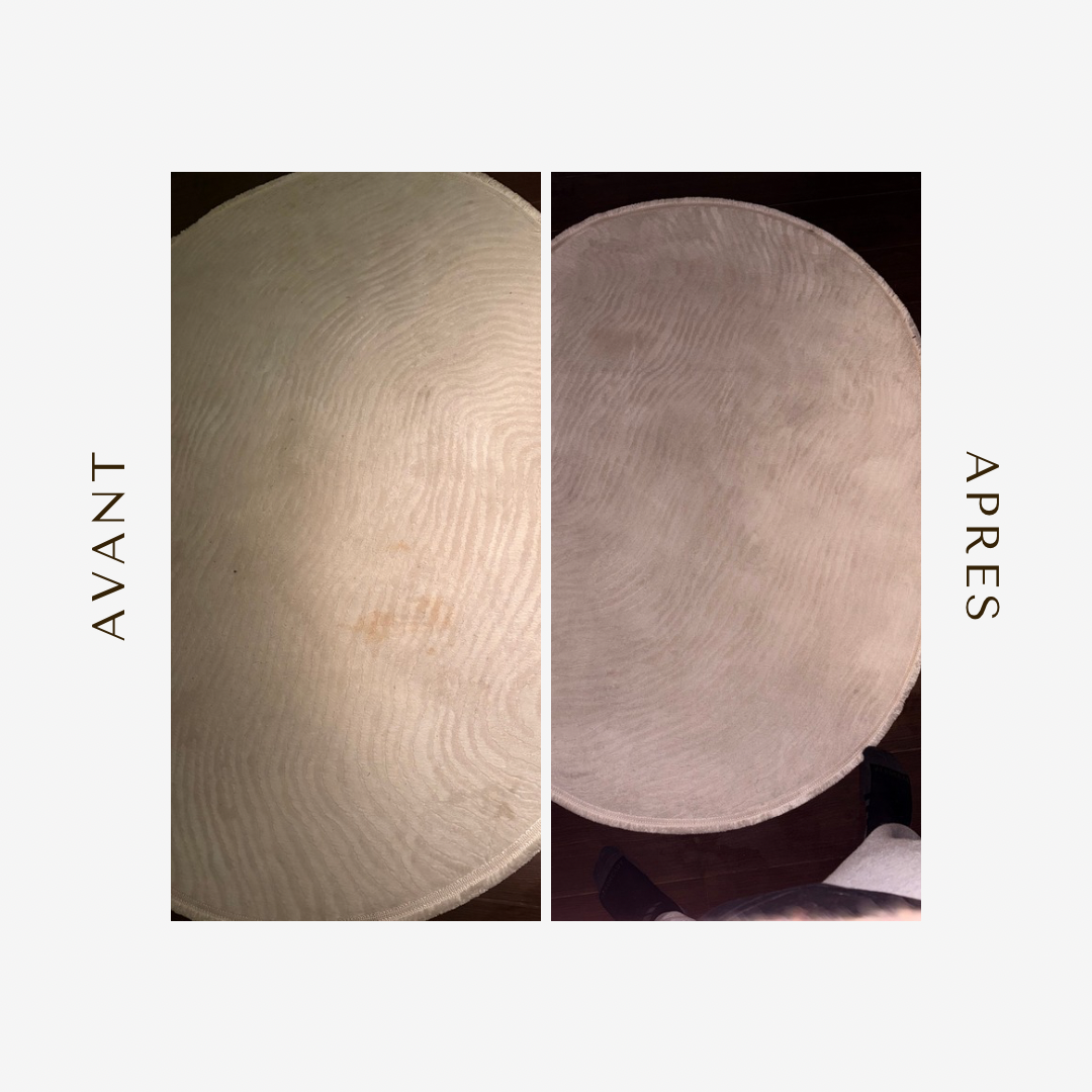 Nettoyage tapis  a la shampouineuse prix au m2