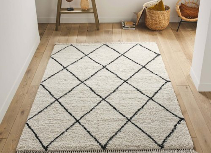 Nettoyage tapis